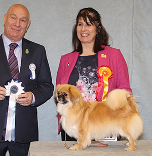 Mrs P Smith Ch Torfness Scarlet Phancy with group judge Mr D Killilea