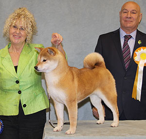 Mrs E Dunhill Ch Vormund Norma Jean with group judge Mr D Killilea