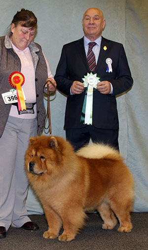 Miss L Squires Ch Kwaitang Kristian At Kyong with group judge Mr D Killilea