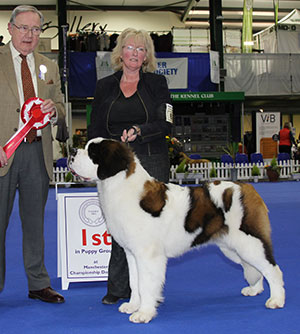 Miss A Grainger Chandlimore Banyan For Samhaven with puppy group judge Mr R Irving 