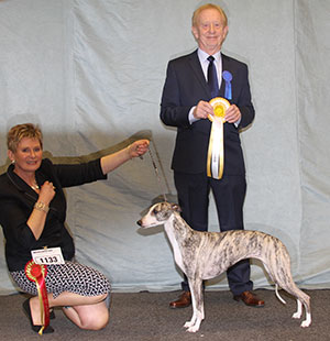 Mr D G & Mrs Y L Short Ch Collooney Tartan Tease JW with group judge Mr T H Johnston