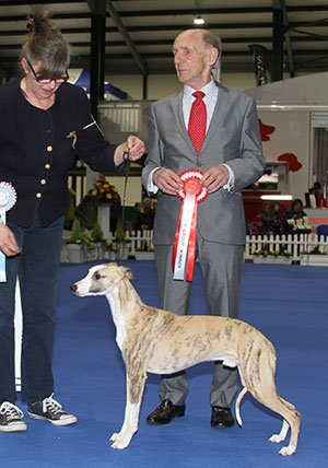 Miss J Wilton-Clark Shalfleet The Lion King with puppy group judge Mr C Mackay 