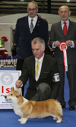 Mr K Dover & Mr L Saether Pemcader Sauron with puppy group judge Mr C Mackay & Mr S Atkinson (Chairman)