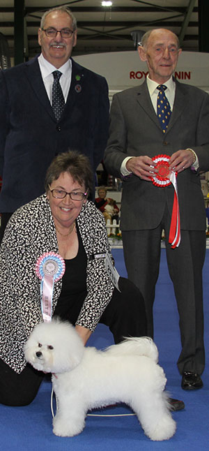 Mrs C Sayles Avenir Keep It Real NAF with puppy group judge Mr C Mackay & Mr S Atkinson (Chairman) 