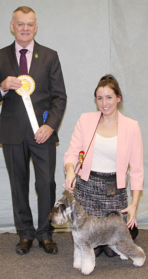 Miss K Davidson Ch Wellingley Which Way Now with group judge Mr E Paterson