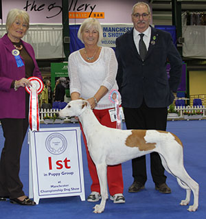 Mrs D Garratt & Miss S Oakey Inchydoney Memories Oh My God with Caryna (Imp) with puppy group judge Mrs E Stannard & Mr S Atkinson (Chairman)