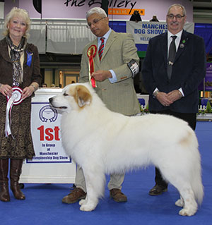 Nagretcha, Mattisson-Sandstrom & Sandstrom Ch Viskalys My Way Or No Way To Chandlimore (Imp) with group judge Mrs L J Salt & Mr S Atkinson (Chairman)