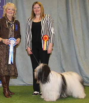 Miss L Mottram Ch Mybeards Hero with group judge Mrs L J Salt