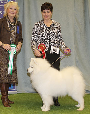 Mr J G & Mrs A E Mann Nikara Dream Maker with group judge Mrs L J Salt 