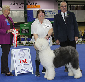 Mr & Mrs M & D Palmer Red Devil Aus Dem Elbe-urstromtal TAF with puppy judge Mrs E Stannard & Mr S Atkinson (Chairman)