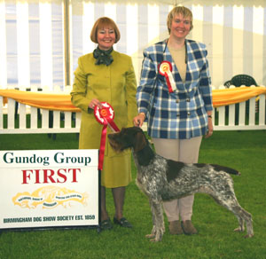 Gundog Group 1st