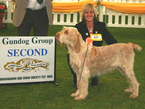 Gundog Group 2nd