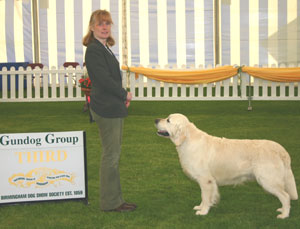 Gundog Group 3rd