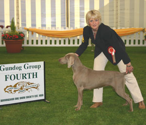 Gundog Group 4th