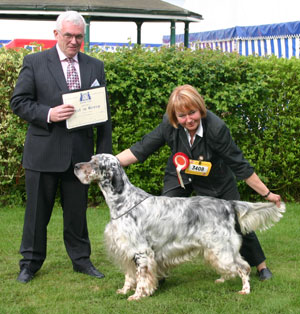 Gundog Group 1st