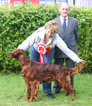 Gundog Puppy Group