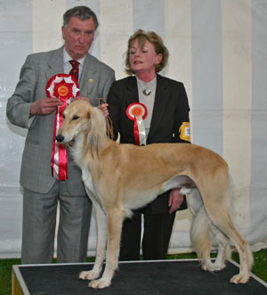 Hound Group 1st