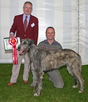 Hound Puppy Group