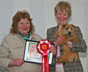 Terrier Puppy Group