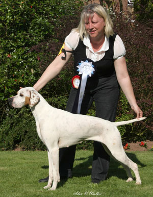 Gundog Group 2nd