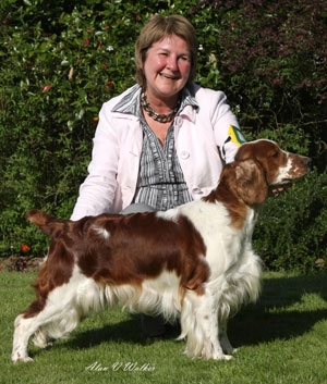 Gundog Group 3rd