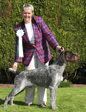 Gundog Group 4th