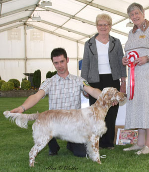 Gundog Best Puppy