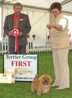 Terrier Group 1st