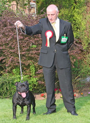 Terrier Group 2nd