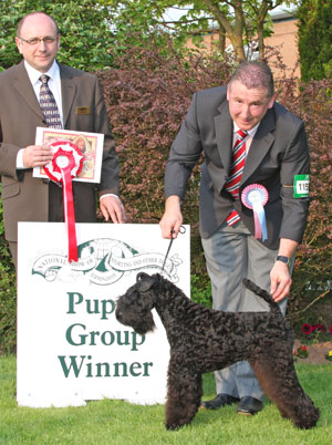 Terrier Best Puppy