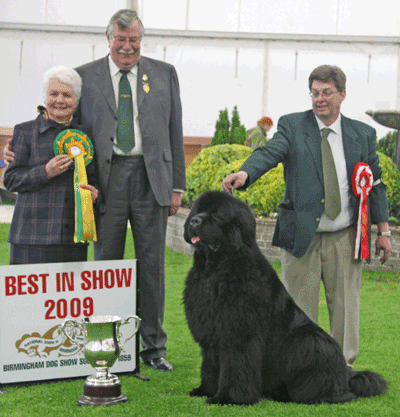 Best in Show