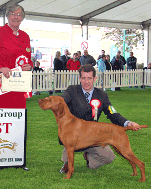 Gundog Group 1st