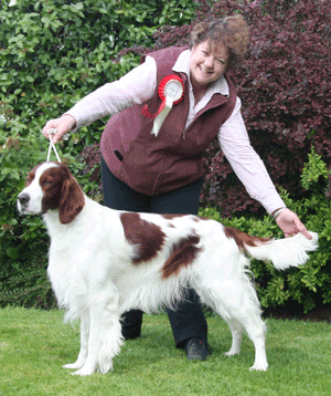 Gundog Group 4th