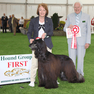 Hound Group 1st