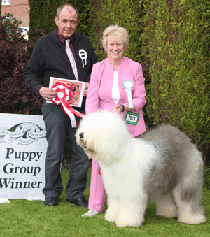 Pastoral Puppy Group