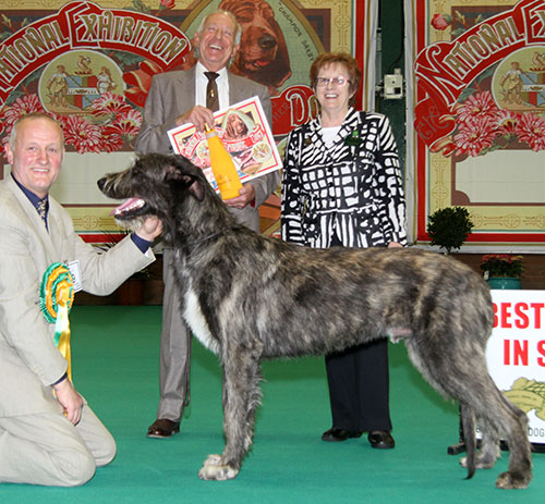 Mrs D Tebbutt Caredig Barbarian with BPIS judge Mr K R Newhouse & Mrs J Griffiths (Secretary) 