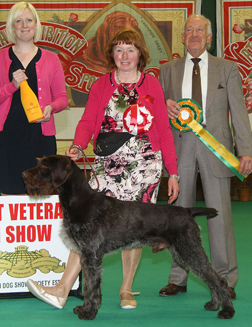 Mr P F & Mrs M McCullough Sh Ch Ir Ch Am Ger Int Ch Timo I I V Bockenhagen A with BVIS judge Mr K R Newhouse & Miss J Fairhall (Committee)