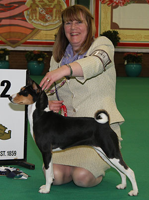Mesdames D Hardy, P Hallam & S Kite & Gillespie Am Ch Klassic's Girl With A Curl (Imp) TAF