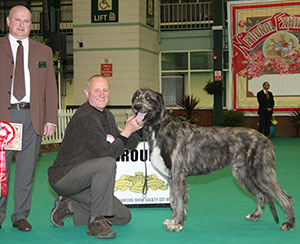 Mrs D Tebbutt Caredig Barbarian with puppy group judge Mr D Fellows 