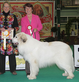 Mrs G Pollard Ch Gillandant Rockafella JW with group judge Mrs M Purnell-Carpenter 