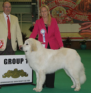 Miss E Downes & Mrs S Downes Belshanmish Orange Crush with puppy group judge Mr K Nathan 