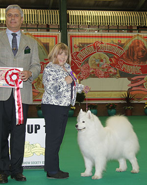 Ms P A Roberts & Mrs H Fitzgibbon Ice Maiden Smile Yoshi And Us (Imp) with veteran group judge Dr T Jakkel