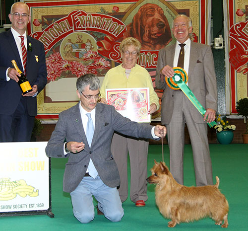 Mrs S McCourt Ch Silhill Sweet Pea with BVIS judge Mr K R Newhouse & Mr N Gourley (Vice Chairman)