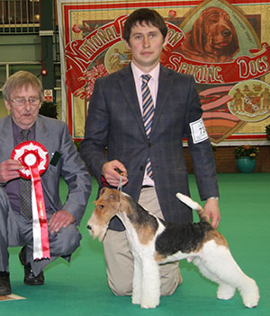 Mr R De Munter, Mrs D Uiterwijk & J R Malzoni Ch Kingarthur Van Foliny Home with group judge Mr D Munro