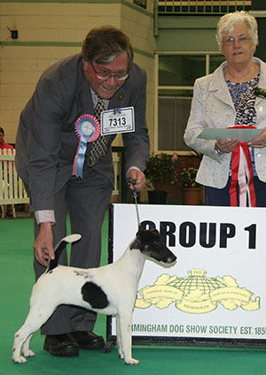 Mrs J Thornton & Mr J R Bebbington Glendraterra Blind Date with puppy group judge Mrs W Allen