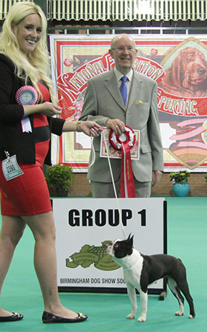 Miss S Knights Yakee Let It Be Me with puppy group judge Mr A Wight
