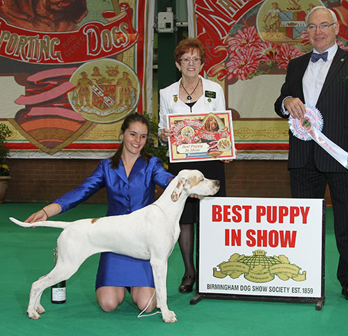 Mrs A Siddle & Miss A Siddle Wilchrimane Frankel (ai) with BPIS judge Mr W Browne-Cole & Mrs J Griffiths (Secretary)