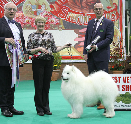 Mrs V Freer & Mrs S Smith Ch Nikara Diamond Dancer JW with BVIS judge Mr W Browne-Cole & Mr N Gourley (Vice Chairman) 