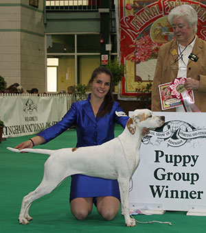 Mrs A Siddle & Miss A Siddle Wilchrimane Frankel (ai) with puppy group judge Mrs D Barney