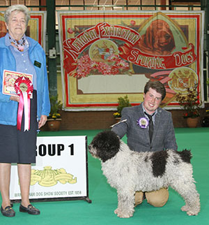 Mr & Mrs N & Mr B Egginton Multi Ch Curioso De La Ribera Del Genil Del Valent with veteran group judge Mrs C E Cartledge